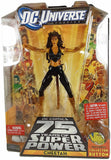 Cheetah - Modern Variant - DC Universe Classics MOC action figure