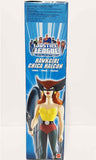 Hawkgirl - 10 Inch JLU MIB action figure